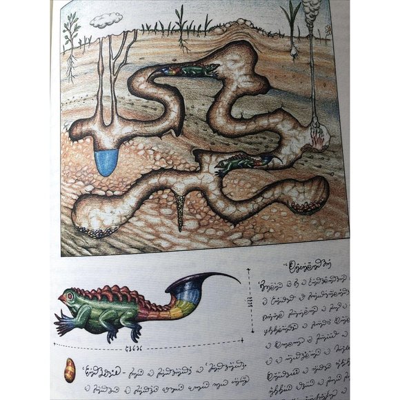 Luigi Serafini Codex Seraphinianus Print 80 - Picture 1 of 8